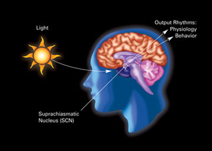 ChromaTherapyLight.com- Chroma = Color & Light + Therapy = Light is Energy + Light = Natural & Artificial Light, Free Lighting Education, Science of light and sight.