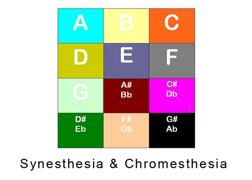What is Synesthesia?