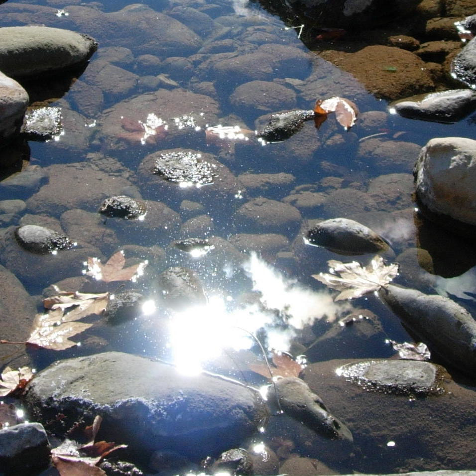 River with glare, reflection of sunlight.