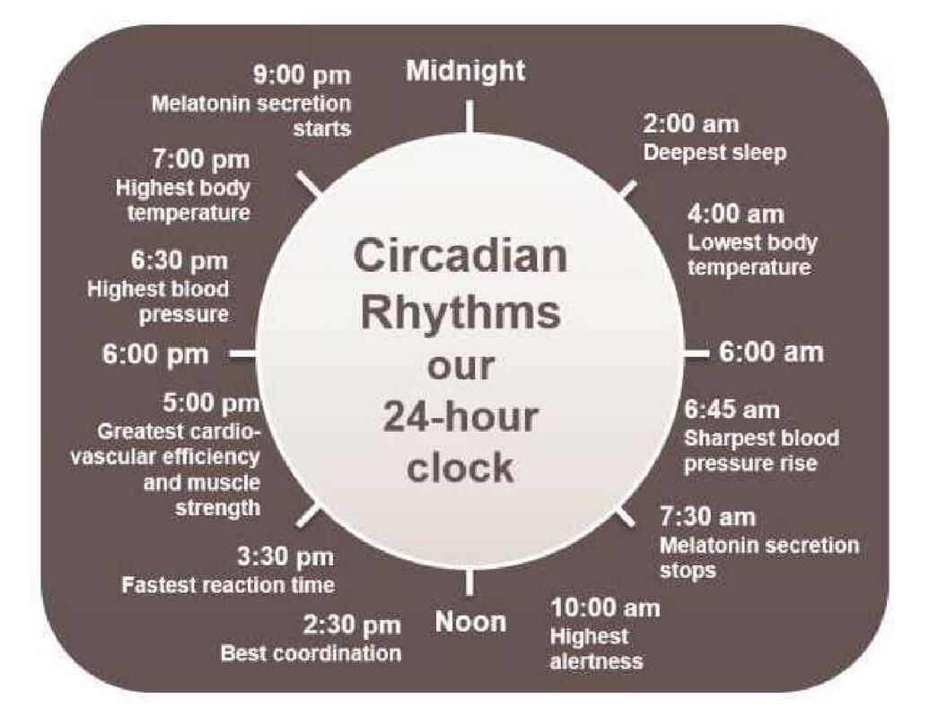 Circadian Rhythms our 24-hour clock - Lighting and Autism